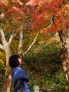 紅葉狩り