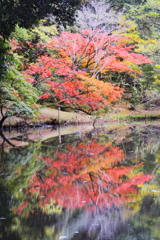 泰勝寺