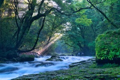 菊池渓谷
