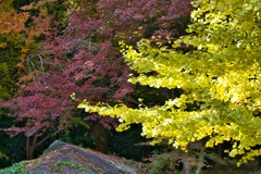 環境芸術の森