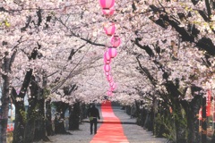 参道
