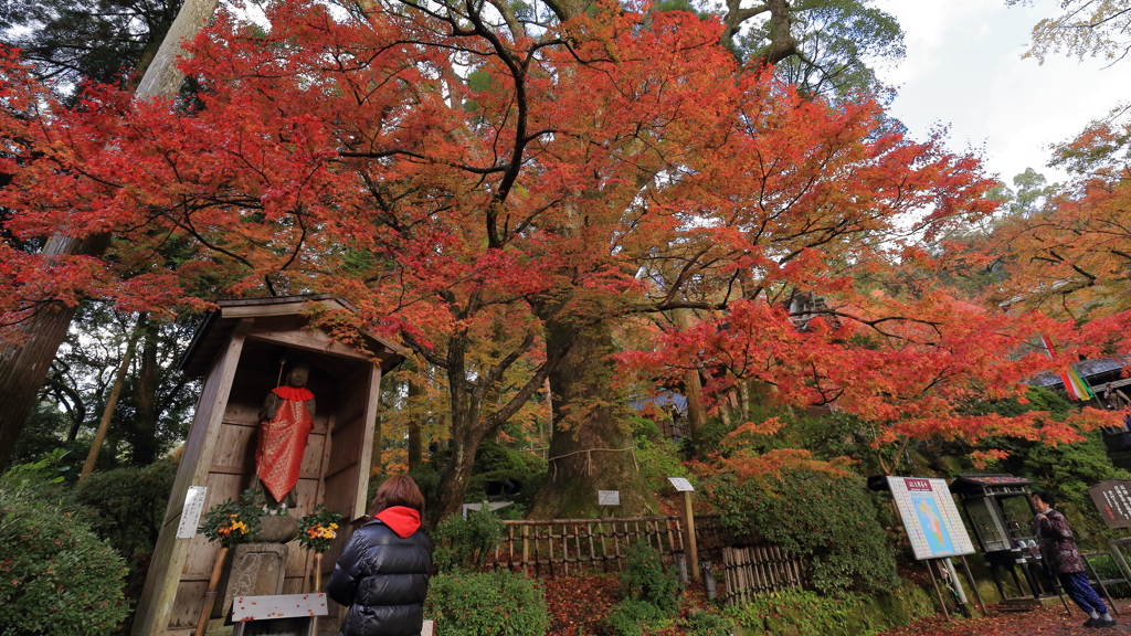 大興善寺