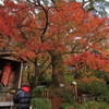 大興善寺