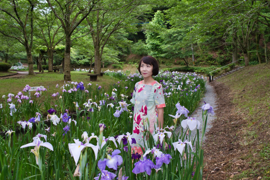 花菖蒲