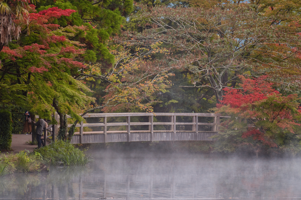 朝霧に包まれて