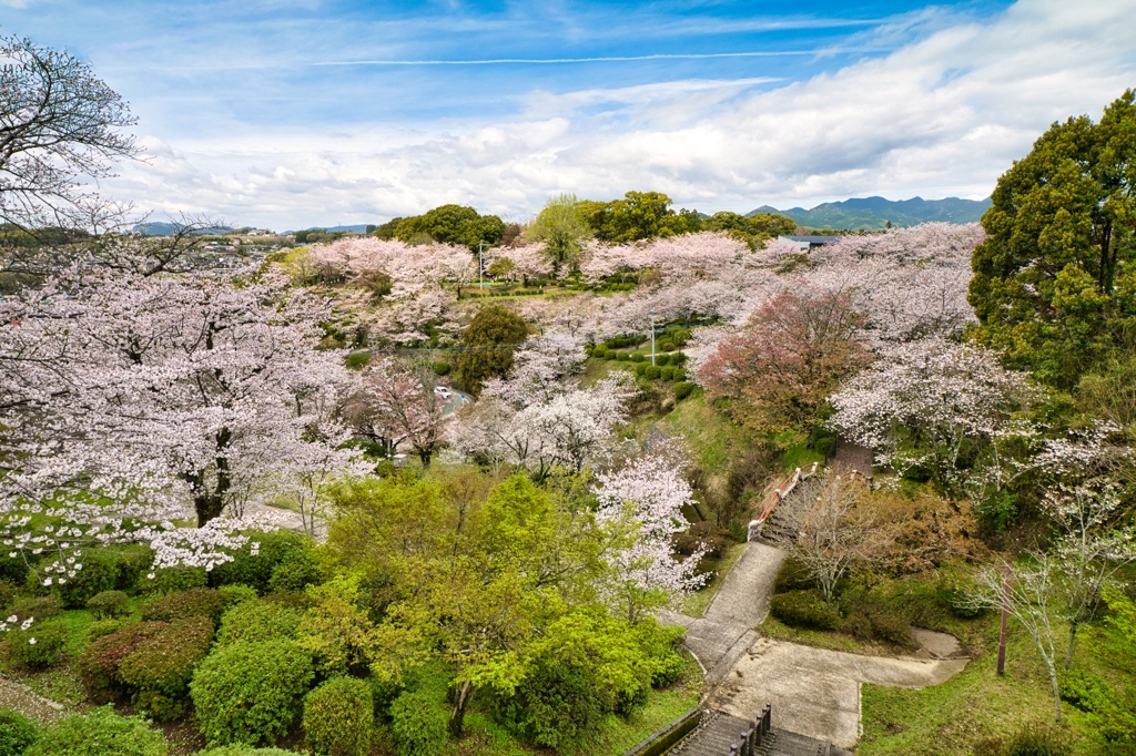 菊池公園