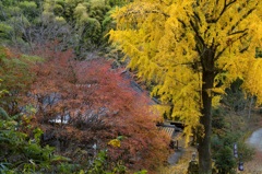 康平寺