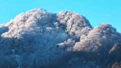 南外輪山の樹氷