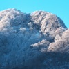 南外輪山の樹氷