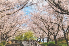 お祝いだね