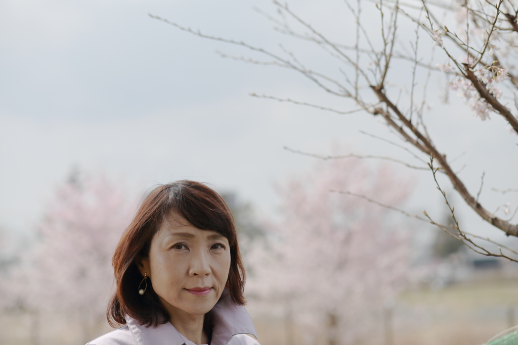 嫁ポ_桜