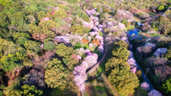 立田山