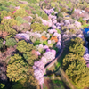 立田山