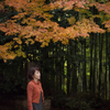 Late fall