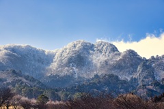 残雪
