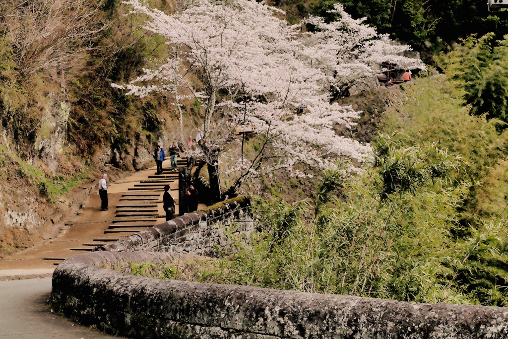 大手門へ登る大手坂