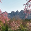 桜園から根子岳を望む