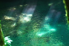 清流を照らす