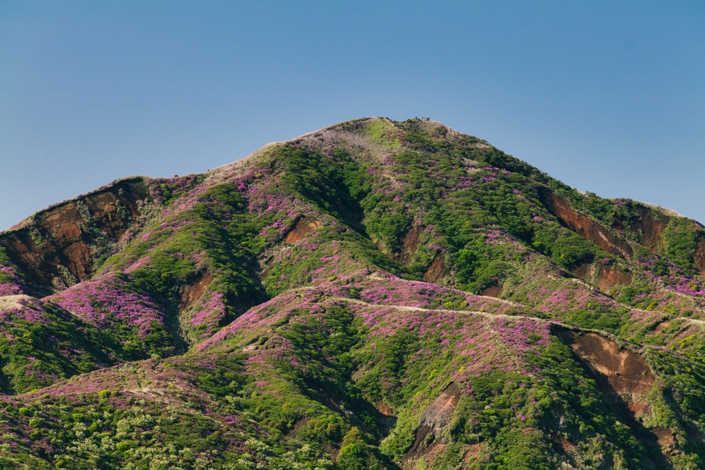深山霧島