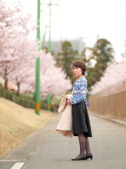 桜並木