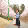 桜並木