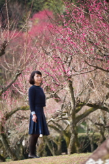白桃紅