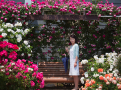 ベンチ