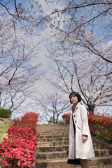 桜ポトレ