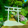 住吉自然公園