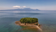 大矢野島の野釜島の高杢島