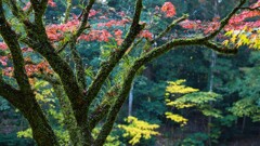 立田自然公園
