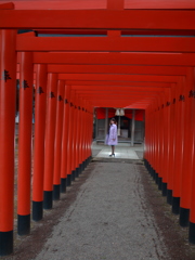嫁ポ_水前寺成就園