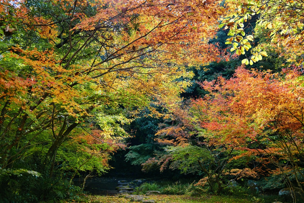 釣耕園