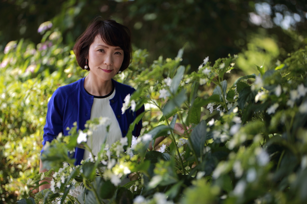 紫陽花はまだですか？