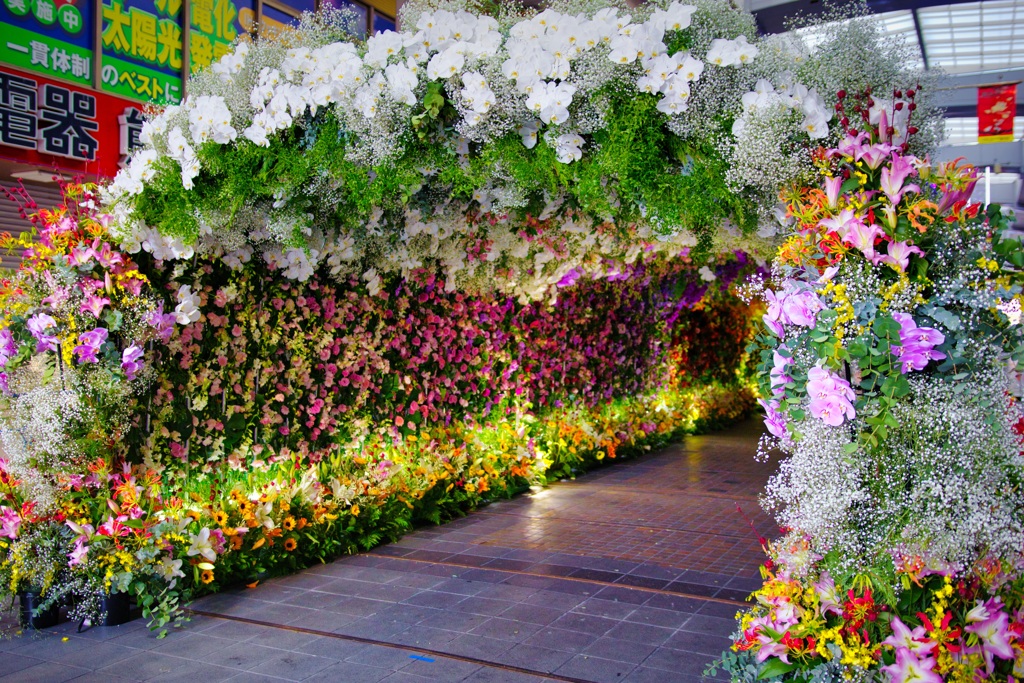 花のトンネル