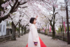 桜ポートレート