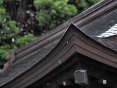 雨の八幡宮