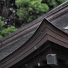 雨の八幡宮