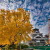 大銀杏