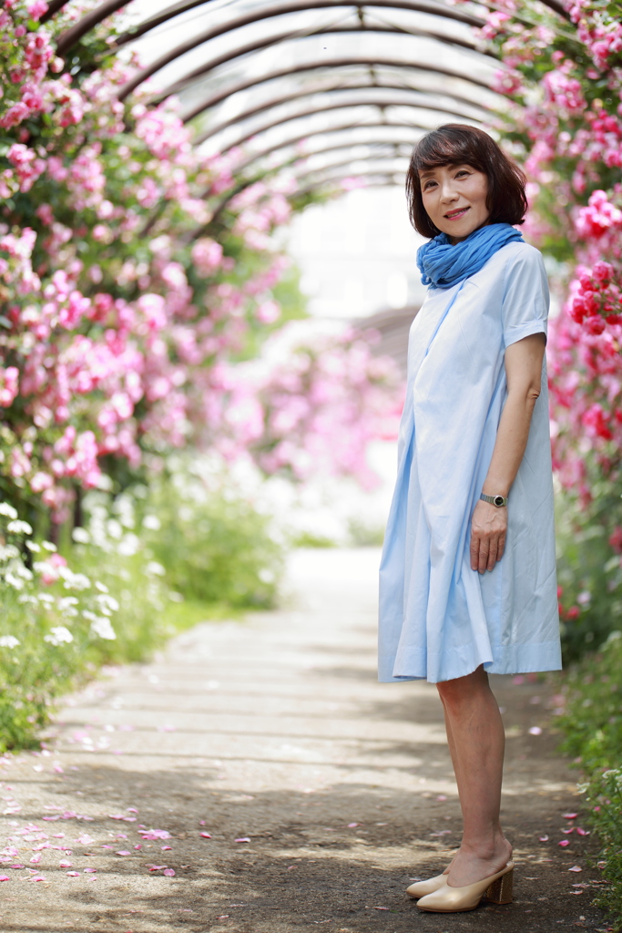 薔薇のアーチ