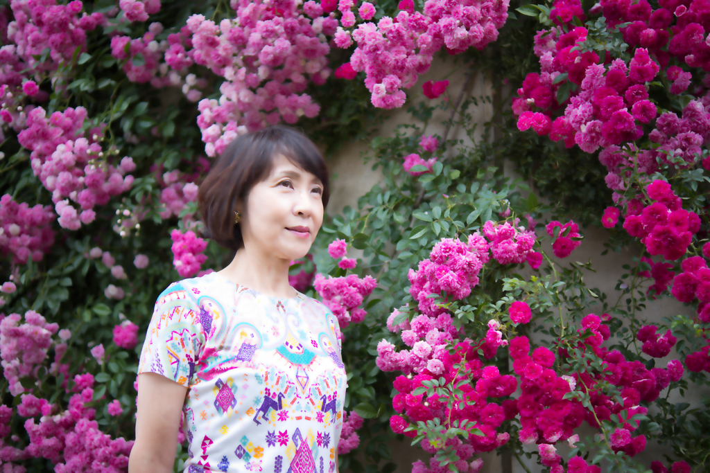 薔薇の壁