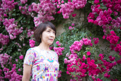 薔薇の壁