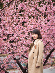 阿蘇の桜