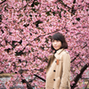 阿蘇の桜