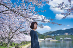 桜ポートレート