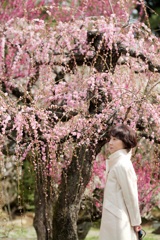 Portrait in the plum grove
