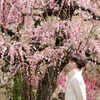 Portrait in the plum grove