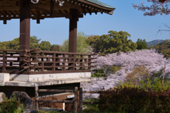 展望台