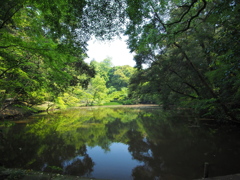 泰勝寺跡