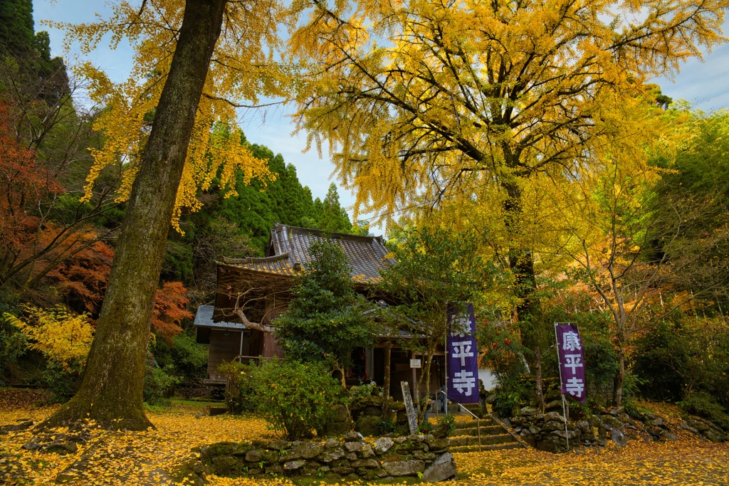 康平寺